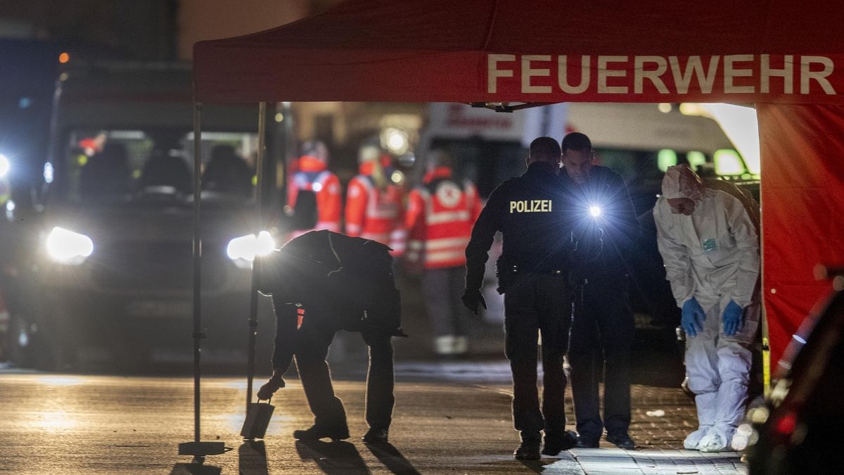 Ztratili respekt. Železnými tyčemi a holemi útočilo 40 lidí v německém Trevíru na policisty